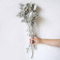 GAPANG 乾花 DRYB12601, 01（喬·懷特）