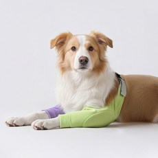 PASTEL PET 寵物柔軟護膝, 混色, 1個