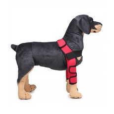 I Love Pet 寵物受傷保護套 護膝, 紅色