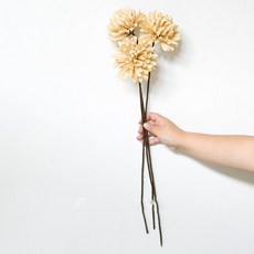 GAPANG 乾花菊花04號 DRYB132, 白色的