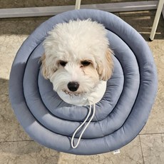 MAAH 大型犬用頸圈, 1個, 薰衣草海軍藍