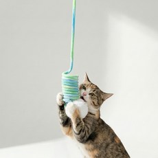 Happy Pets 天花板固定彈簧玩具, 綠色, 1個