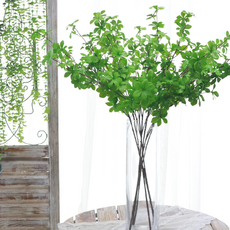 Dawoo F&G Encaisious 茄子, 4個, 綠色