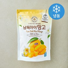 웰팜 남독마이 망고 (냉동), 1개, 500g