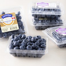 PSK 캐나다산 블루베리, 12팩, 125g