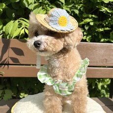 그루밍독 반려동물 데이지 밀짚 모자, 블루, 1개