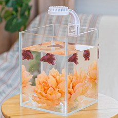 Diamant Light 鬥魚缸套組, 單一顏色, 1個