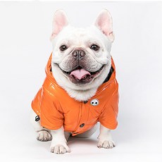 MING 반려동물 오렌지 해골 패딩, 1개