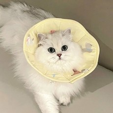 PASTEL PET 寵物防水結紮頭套, 1個, 黃色