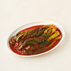 신영 정담은김치 매운 갓김치, 1.2kg, 1개
