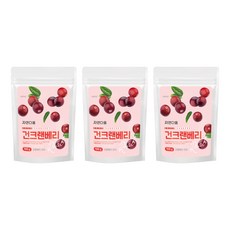 자연다움 건크랜베리, 3개, 100g