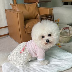 BYDAMSOOMI 小狗款韓服連身裙, 粉色的