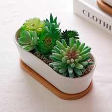 morningscent 早晨香氣 DIY 沸石多肉植物人造花套組 C款, C1, 1套