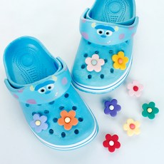 雛菊洞洞鞋鞋扣9件組