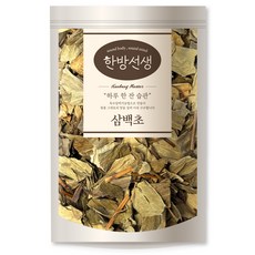 한방선생 국내산 삼백초 잎, 100g, 1개