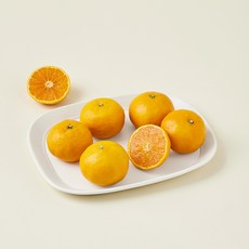 올푸릇 저탄소 인증 고당도 카라향 5~6입, 1개, 800g