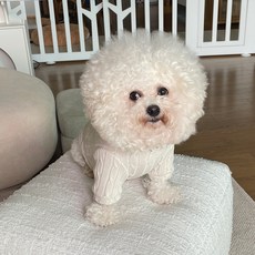bydamsoomi 狗狗Rookie麻花針織T恤, 米色