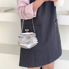 자일라 발레코어 프레임 미니백