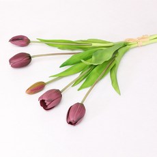 Lydius 人造鬱金香 5入, 紫色