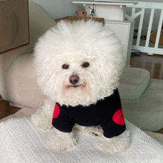 BYDAMSOOMI 印花寵物短袖T恤, 黑色