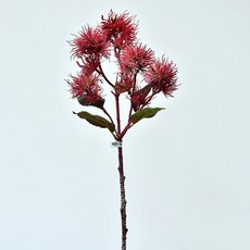 GAPANG 乾花 DRYE114, 號碼 01