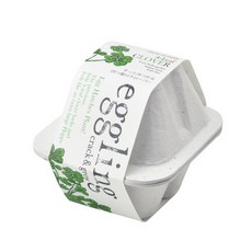 에글링 미니화분, 네잎클로버