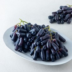 수플린 호주산 스윗 사파이어, 1개, 1.5kg