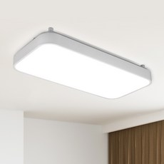멜리빙 라이트 심플 조명 천장등 플리커프리 LED30W, 화이트 + 주광색