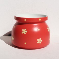 Dubom 陶瓷圖案多肉花盆, 紅色, 1個