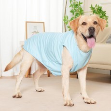 PASTEL PET 中大型犬網眼無袖背心, 1個, 藍色