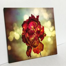 UDP 瓷磚相框 A型 3888266, 單一顏色