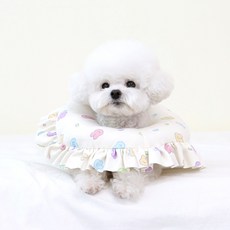 ITS DOG 荷葉邊寵物頸圈, 果凍兔, 1個