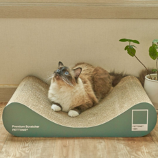 Pettone 貓咪沙發型貓抓板, 深綠色, 1個