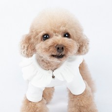 Market A 寵物荷葉領點綴T恤, 白色