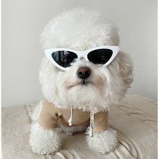 Bydamsoomi基本款毛圈狗狗連帽T恤, 米色