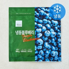 딜라잇가든 미국산 블루베리 (냉동), 1개, 300g