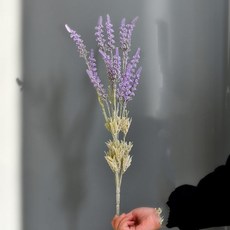 GAPANG 乾花 DRYE004, 2