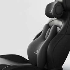 Ez2mk 서라운드 케어 프리미엄 자동차 목쿠션 + 등쿠션 세트 MS-60, 블랙, 1세트