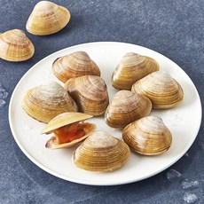 숨비해물 달큼한 감칠맛의 갈미 명주 개량조개 (냉장), 1개, 700g