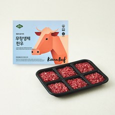 베리네이처 무항생제 인증 한우 다짐육 1번다짐, 300g, 1개