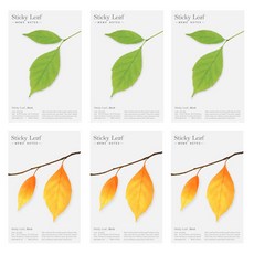 Appree Sticky Leaf 樺木基本款便利貼 2件組 M, 綠色, 棕色, 3套, 40入