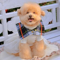 Grooming Dog 寵物雙面格紋披肩, 綠色, 1個