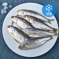 고마워 재호식품 손질 전어 (냉동), 1kg(1미당 60~80g), 1개