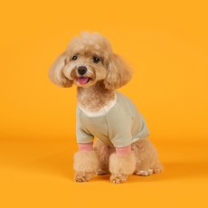 Flot 日常穿搭層次T恤, 1個, 薄荷綠