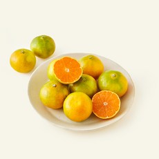 새벽시장 감귤 로열과, 1개, 500g