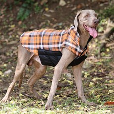 PASTEL PET 寵物格紋雙面絎縫背心, 橘色, 1個