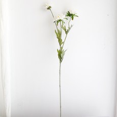 가팡 국화 꽃다발 TESI027, 02번 화이트