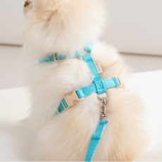 힛찌 狗狗頸部插扣胸背帶, 土耳其藍