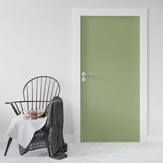 로즈로사 현관문 방문 시트지 2p, 11그린옐로우(SM4821-1), 100 x 210 cm