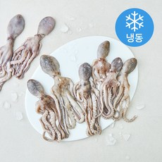 올프레시 살아있을때 얼린낙지 (냉동), 10개, 600g